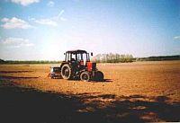 Beelitzer Spargel : Bodenvorbereitung